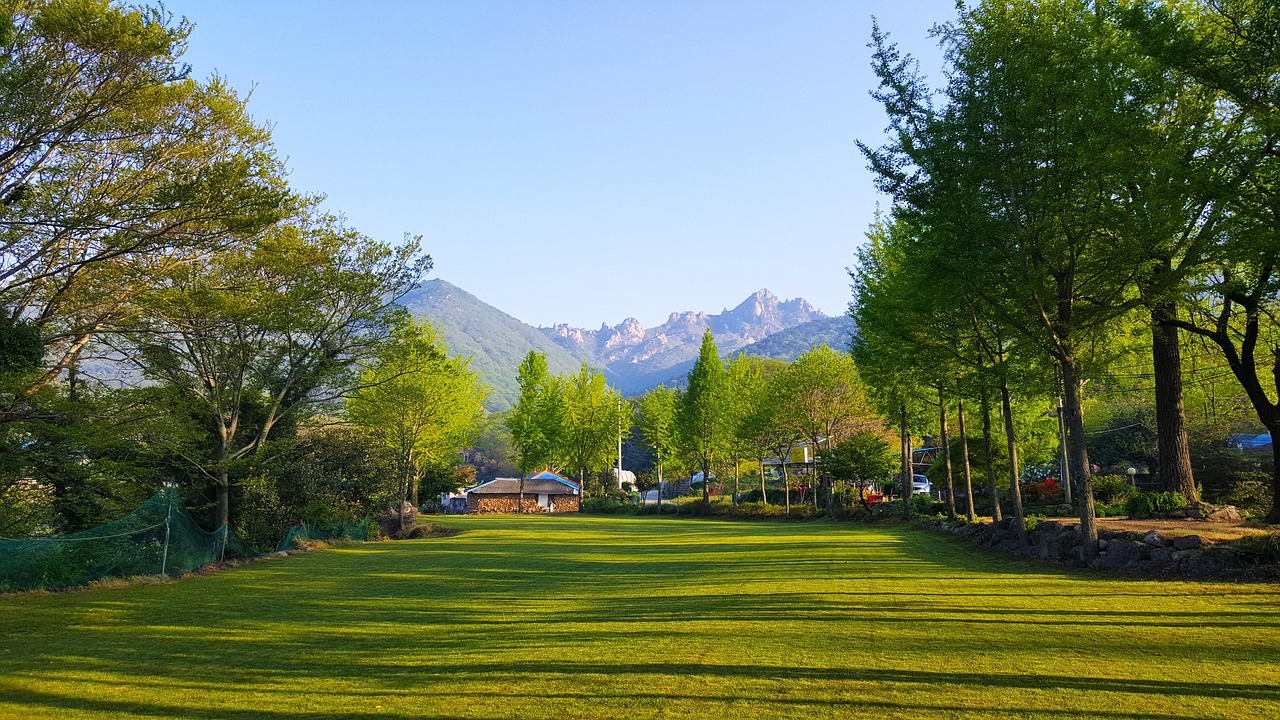 4rabet Review India This Month Review 2027: Bonus, App, Withdrawal Tested